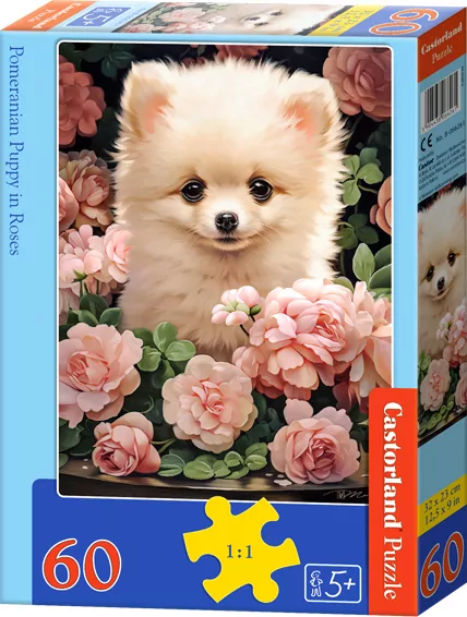 Puzzle 60 Pomeranian Puppy in Roses CASTOR - tantis.pl