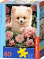 Puzzle 60 Pomeranian Puppy in Roses CASTOR - tantis.pl