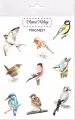 Magnesy Ptaki - tantis.pl