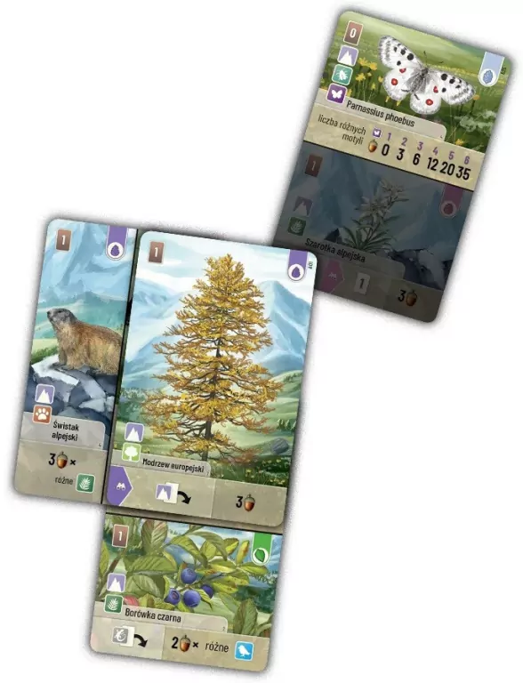 Leśne rozdanie: Alpy. Dodatek do gry - tantis.pl