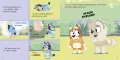 Motylki. Moja czytanka. Bluey - tantis.pl