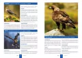 Atlas zwierząt chronionych. 250 polskich gatunków - tantis.pl