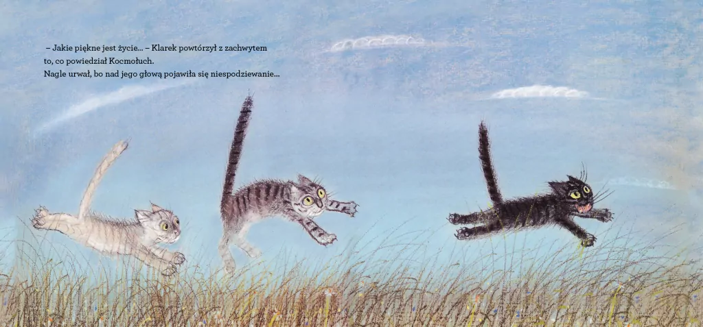 Kocie ścieżki - tantis.pl