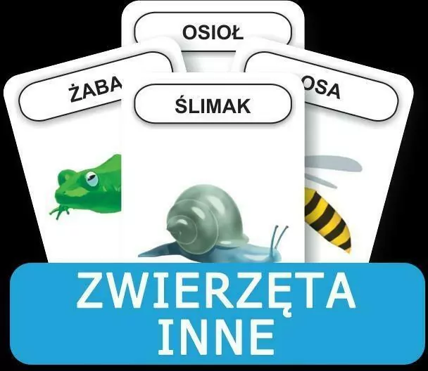 Rozwijamy mowę i myślenie dziecka. Zwierzęta inne - tantis.pl