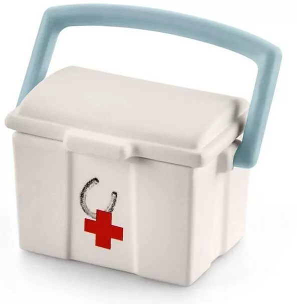 HORSE CLUB, zestaw Hannah do pierwszej pomocy 42430 - tantis.pl