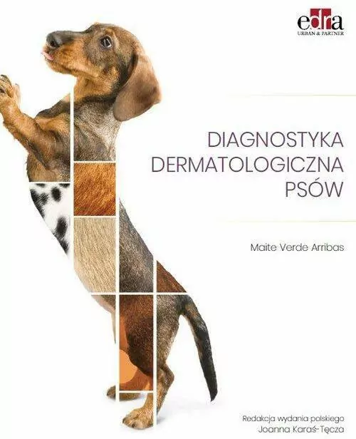 Diagnostyka dermatologiczna psów - tantis.pl
