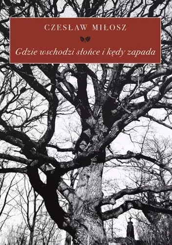 Pozytywiści i choroby - tantis.pl