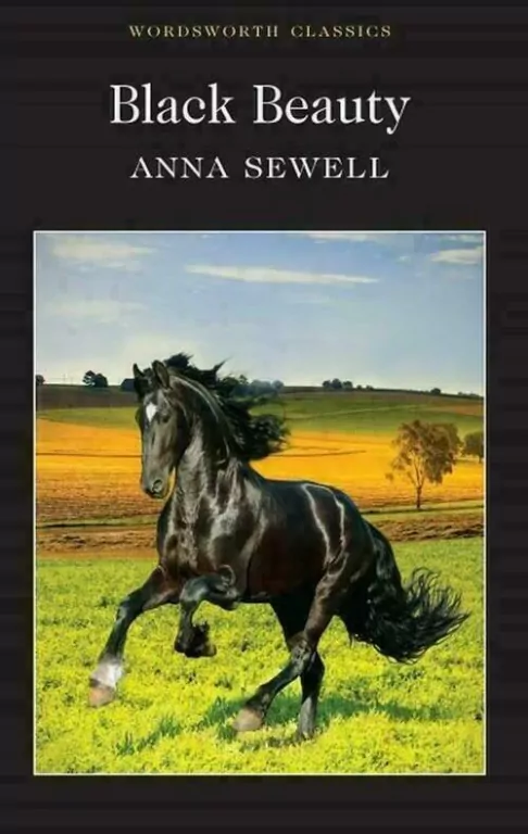Black Beauty - tantis.pl