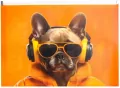 Koperta A4 PP z nadrukiem zip Cool Dog - tantis.pl