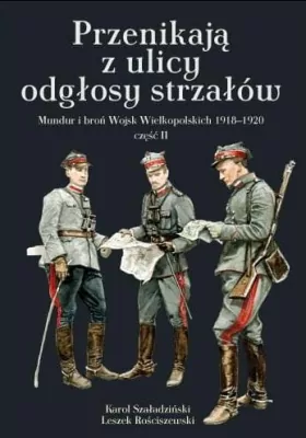 Przenikają z ulicy odgłosy strzałów. Mundur i broń Wojsk Wielkopolskich 1918–1920. Część II