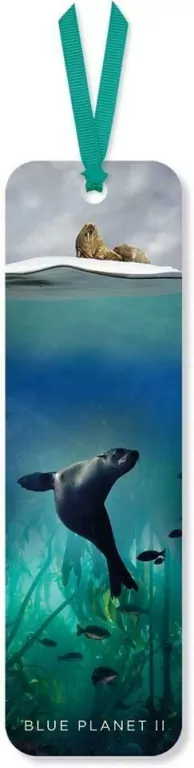 Zakładka do książki Galapagos Sea Lion - tantis.pl