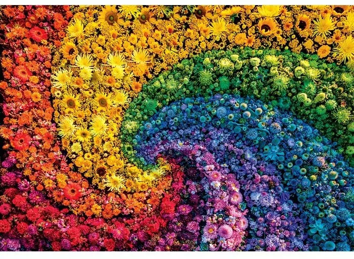 Puzzle 1000. Compact. Colorboom Whirl. 39779 - tantis.pl