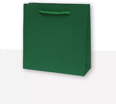 Torebki prezentowe jednobarwna CD zielona 10 sztuk - tantis.pl