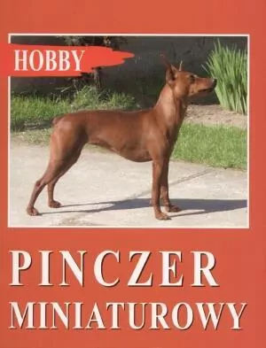 Pinczer miniaturowy. Hobby - tantis.pl