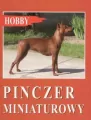Pinczer miniaturowy. Hobby - tantis.pl