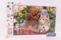 Puzzle 104 Maxi Super Kolor Cute Friends - tantis.pl