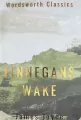 Finnegans Wake - tantis.pl