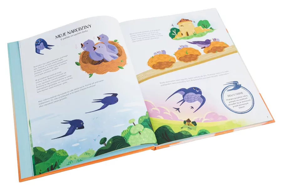 Sekretne życie ptaków - tantis.pl