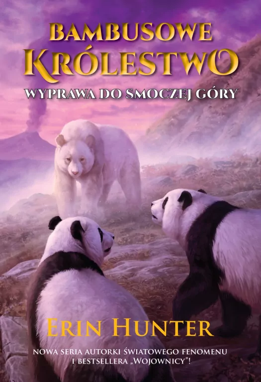 Bambusowe Królestwo. Wyprawa do Smoczej Góry. Tom 3 - tantis.pl