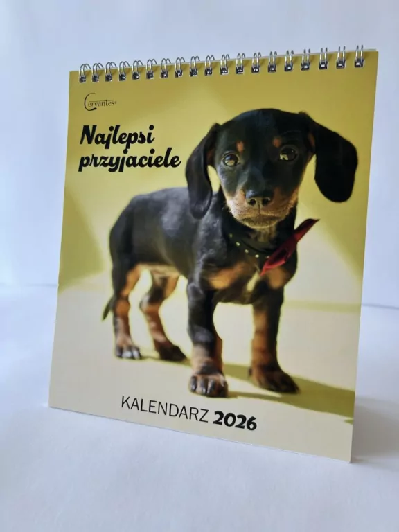 Kalendarz 2026 biurkowy 17x20cm Pies - tantis.pl