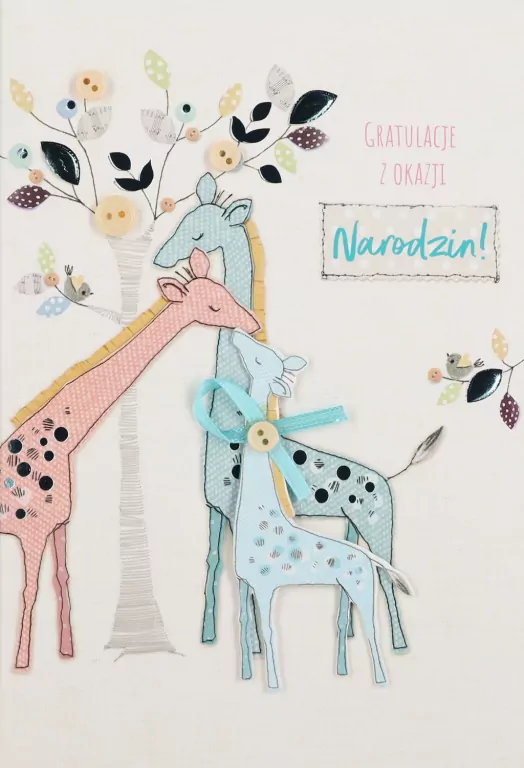 Karnet B6 Narodziny - tantis.pl