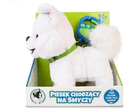 Piesek chodzący na smyczy - tantis.pl