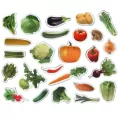 Warzywa. Zestaw magnesów - tantis.pl
