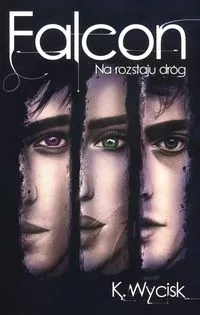 Na rozstaju dróg. Falcon. Tom 2 - tantis.pl