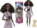 Lalka Barbie Kariera Fotografka zwierząt domowych - tantis.pl