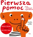 Pierwsza pomoc przy drobnych wypadkach - tantis.pl