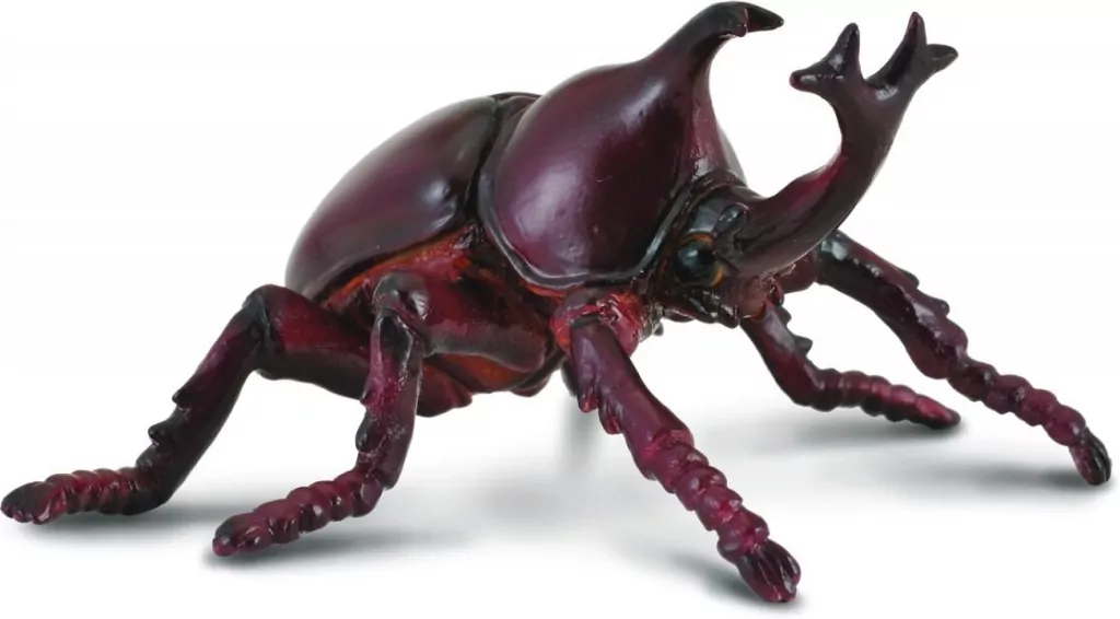 Collecta. Figurka. Rohatyniec nosorożec - tantis.pl