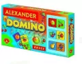 Domino obrazkowe. Owoce - tantis.pl