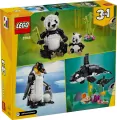 LEGO® Dzikie zwierzęta: rodzina pand 31165 - tantis.pl