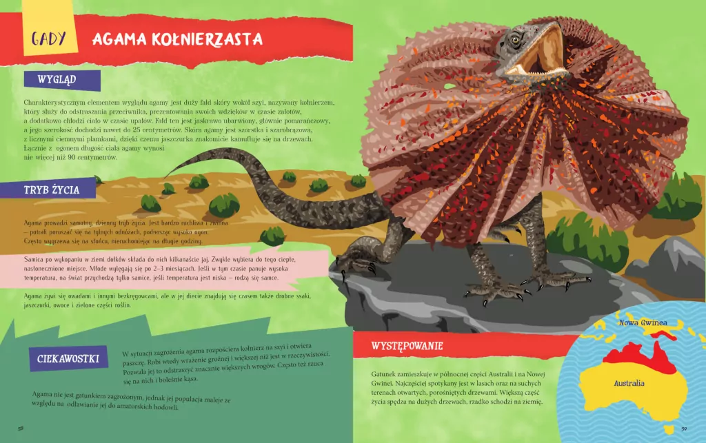 Atlas zwierząt dla dzieci - tantis.pl