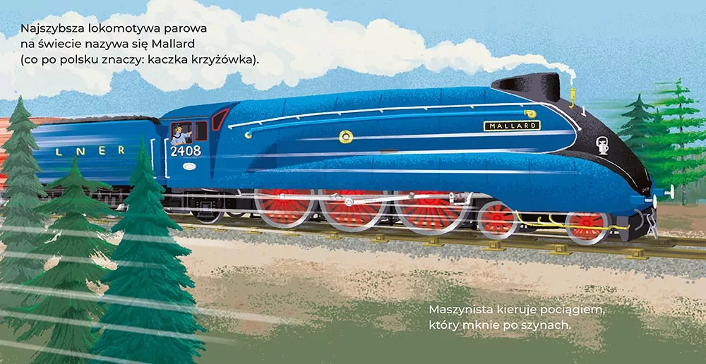 Koła idą w ruch! Moja pierwsza książka o pociągach - tantis.pl