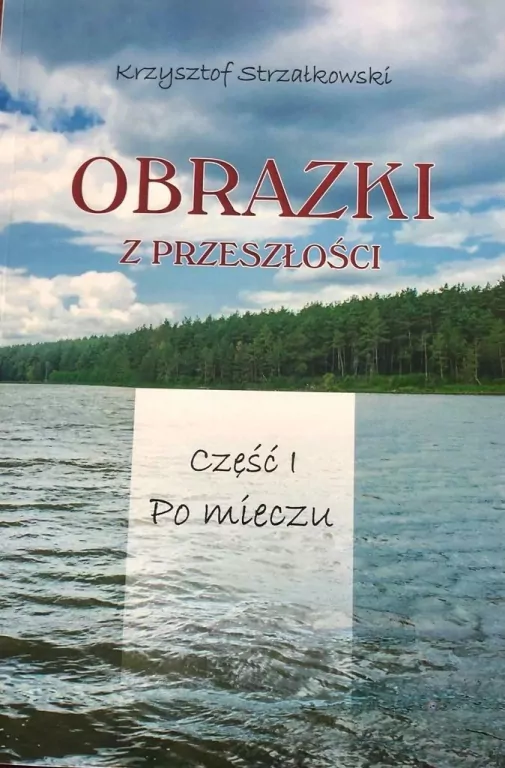 Po mieczu. Obrazki z przeszłości. Tom 1 - tantis.pl