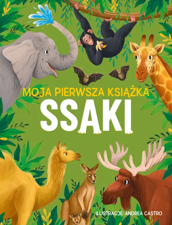 Moja pierwsza książka. Ssaki - tantis.pl