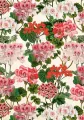Karnet ST531 B6 + koperta Pelargonia - tantis.pl
