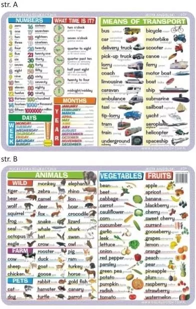 Podkładka edukacyjna. Język angielski - tantis.pl