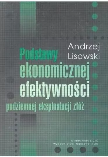 Podstawy ekonomicznej efektywności podziemnej eksploatacji złóż - tantis.pl