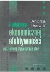 Podstawy ekonomicznej efektywności podziemnej eksploatacji złóż