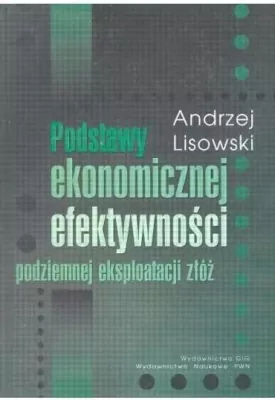 Podstawy ekonomicznej efektywności podziemnej eksploatacji złóż