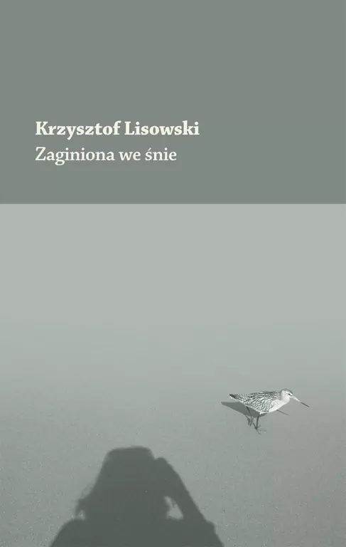 Zaginiona we śnie - tantis.pl