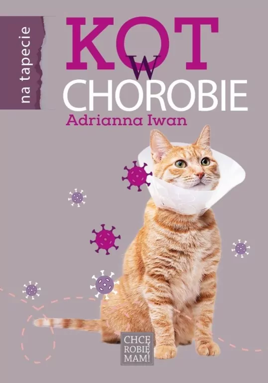 Kot w chorobie - tantis.pl