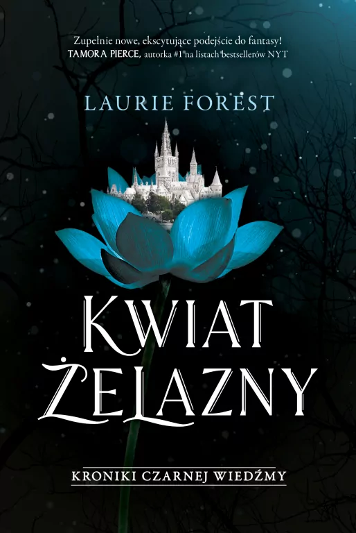 Kwiat Żelazny. Kroniki Czarnej Wiedźmy. Tom 2 - tantis.pl