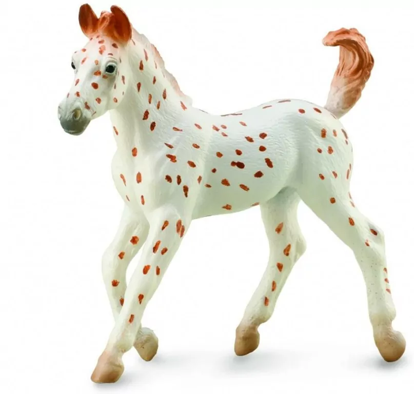 Koń Knabstrupper Foal - tantis.pl