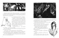 Muminki zebrane. Tom I - tantis.pl