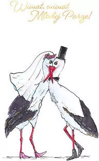 Karnet. Ślub. Bociany - tantis.pl