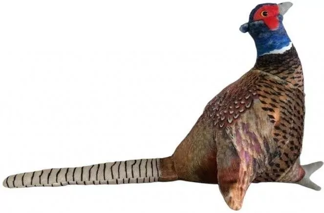 Bażant 30cm - tantis.pl