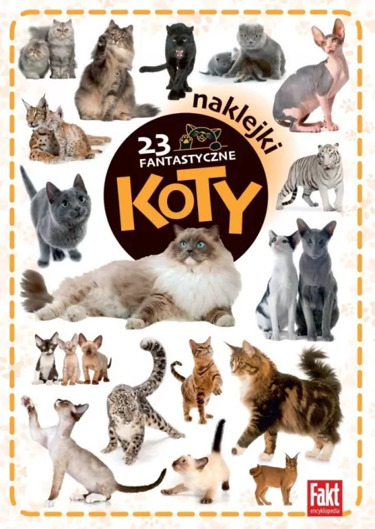 23 fantastyczne koty - tantis.pl